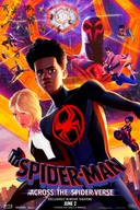 Affiche du film Spider-Man : À travers le Spider-Verse