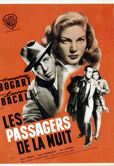 Affiche du film Dark Passage
