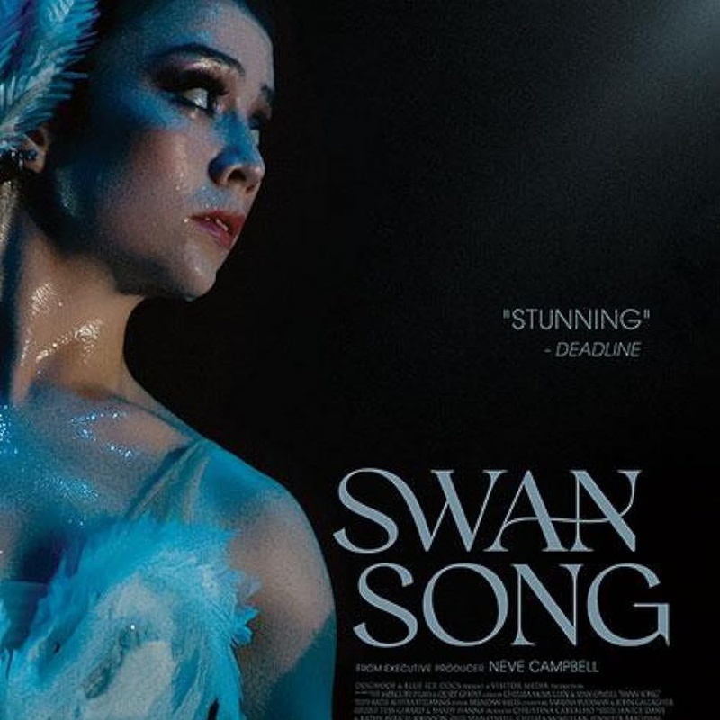 Affiche du film Swan Song