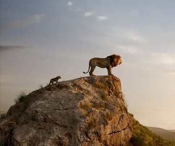 Une scène du film The Lion King
