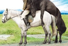 Images du film Of Horses and Men