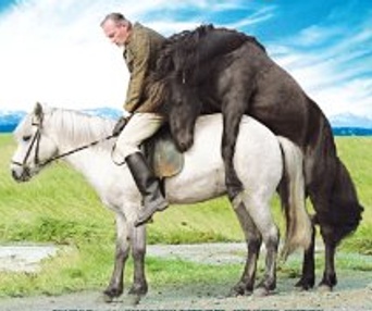 Images du film Of Horses and Men