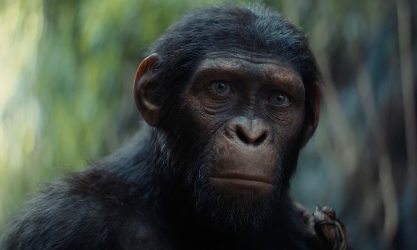 Un premier aperçu de Kingdom of the Planet of the Apes