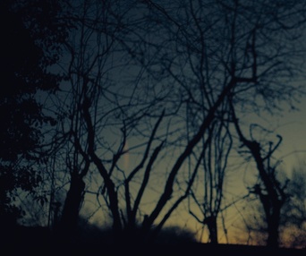 Une scène du film Wolf Garden