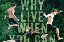 Affiche du film The Kings of Summer