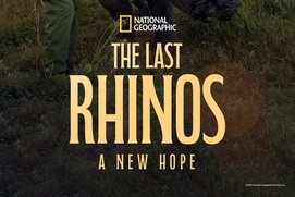 Image du film The Last Rhinos: A New Hope