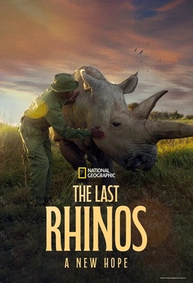 Les derniers rhinos : Un nouvel espoir
