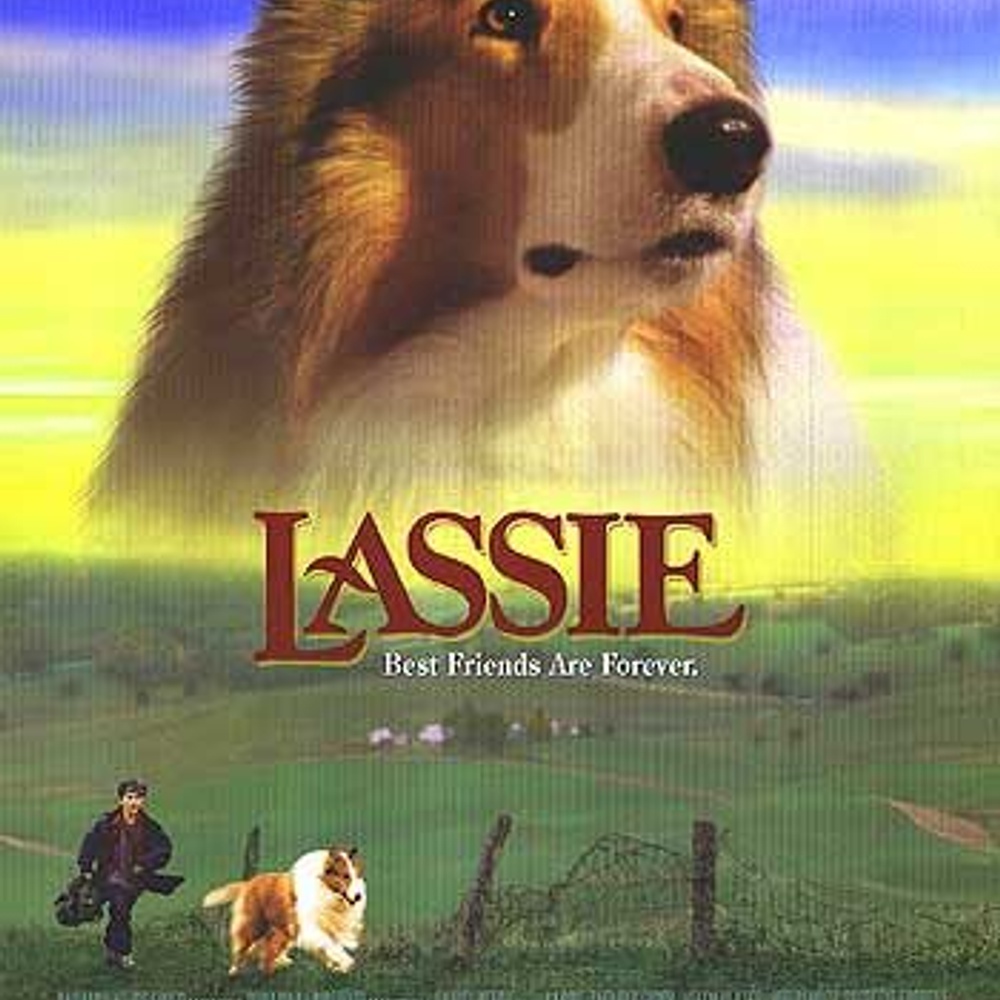 Affiche du film Lassie