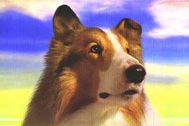 Affiche du film Lassie