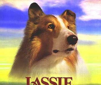 Affiche du film Lassie