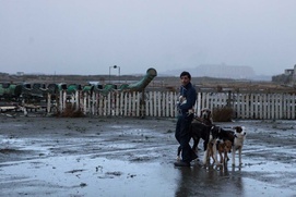 Une scène du film Dogman
