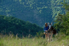 Une scène du film Antoinette dans les Cévennes Une scène du film Antoinette dans les Cévennes