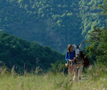 Une scène du film Antoinette dans les Cévennes
