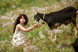 Une scène du film Heidi