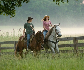 Scène du film Hannah Montana: The Movie
