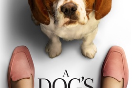 Affiche du film A Dog's Journey Affiche du film A Dog's Journey