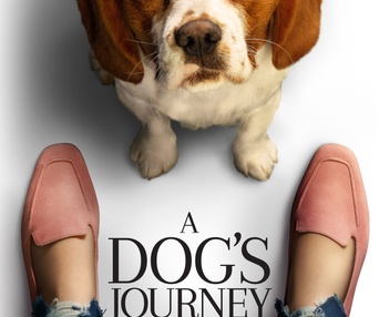 Affiche du film A Dog's Journey