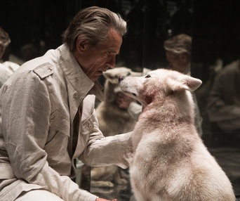 Une scène du film High-Rise