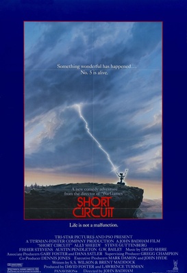 Coeur circuit