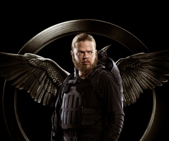 Affiche du film The Hunger Games: Mockingjay - Part 1