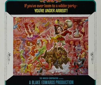 Affiche du film The Party