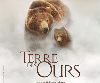 Affiche du film Terre des ours