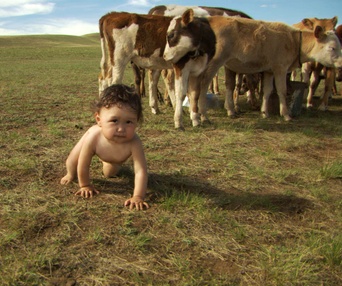 Une scène du film Babies