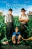 Affiche du film Les vieux lions