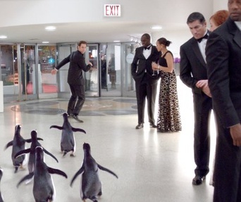 Une scène du film Mr. Popper's Penguins