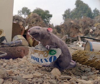 Scène du film Le petit monde de Charlotte