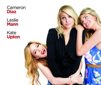 Affiche du film The Other Woman