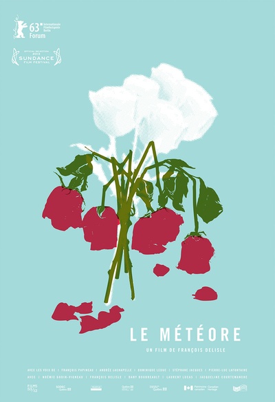 Affiche du film Le météore