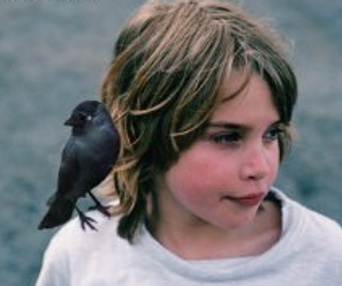 Images du film Kauwboy