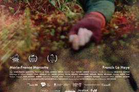 Image du film Mon fils ne revint que sept jours