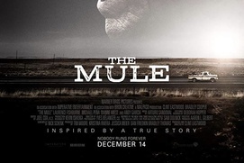 Affiche du film The Mule