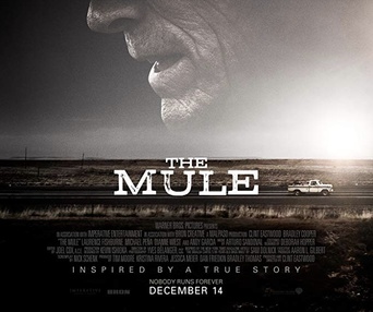 Affiche du film The Mule