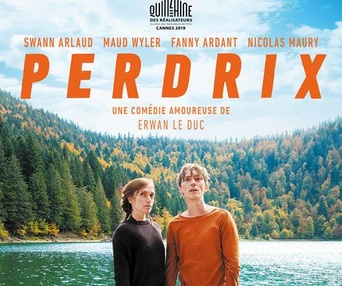 Affiche du film Perdrix