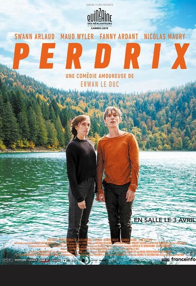 Affiche du film Perdrix