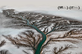 Affiche du film Watermark