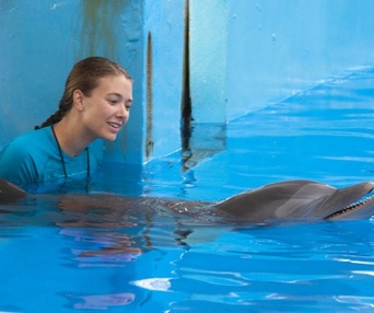 Une scène du film Dolphin Tale