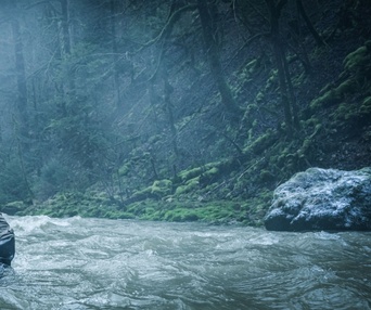 Image du film Un ours dans le Jura