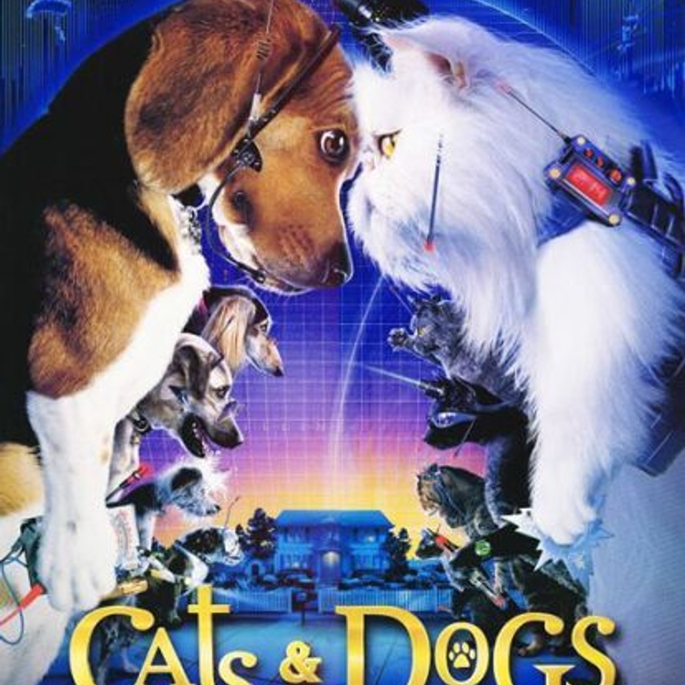 Affiche du film Cats and Dogs