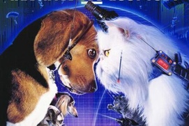 Affiche du film Cats and Dogs