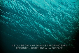 Affiche du film The Shallows Affiche du film The Shallows