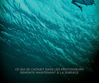 Affiche du film The Shallows