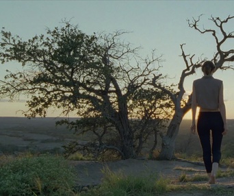 Une scène du film Song to Song