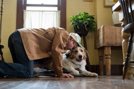 Une scène du film A Dog's Journey Une scène du film A Dog's Journey
