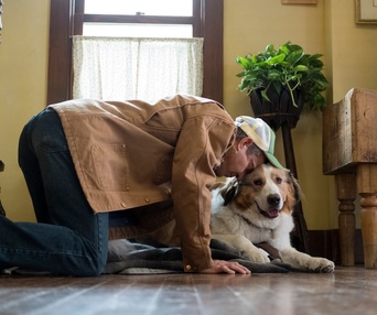 Une scène du film A Dog's Journey