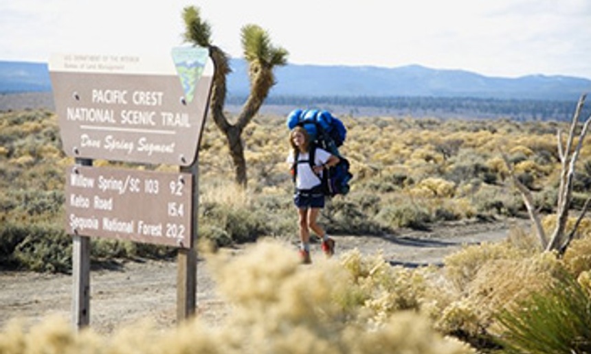 Wild : La route salvatrice