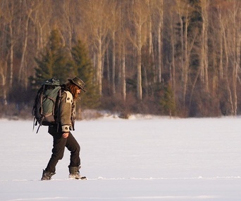 Affiche du film 500 Days in the Wild